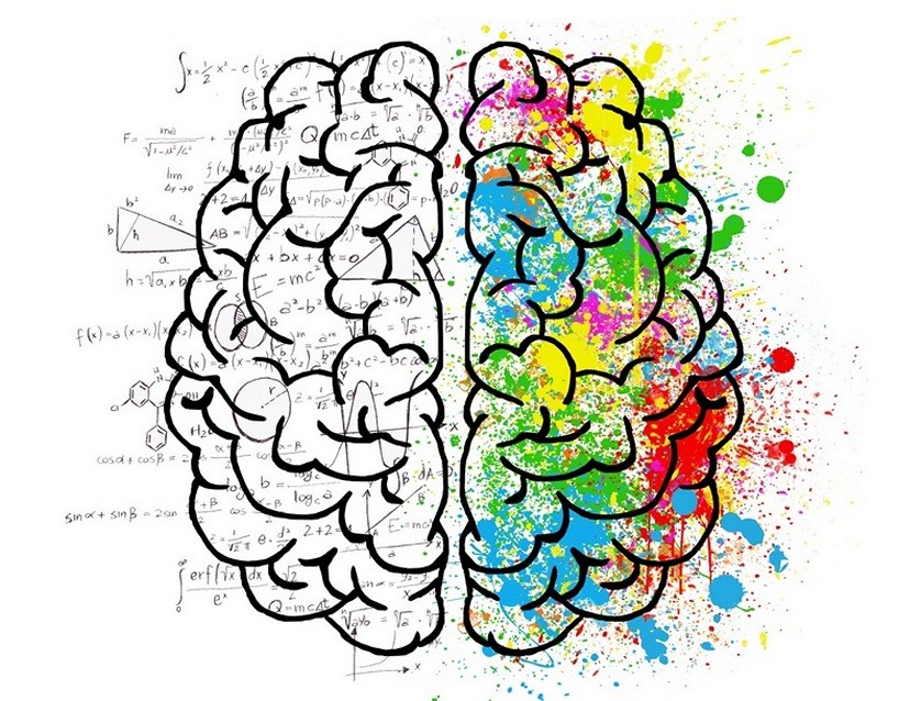 Morpho-Coaching – Gehirn Synapsen in rechter und linker Gehirnhälfte
