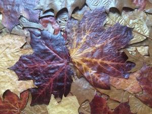 Herbstblues? – Emotional fit durch den Herbst kommen!
